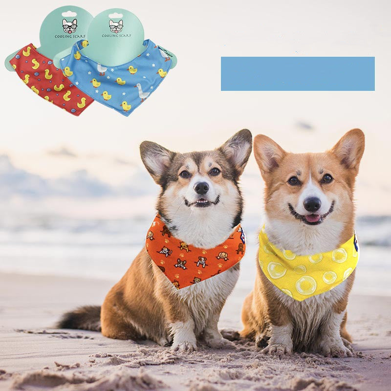 Kylande scarf för hund