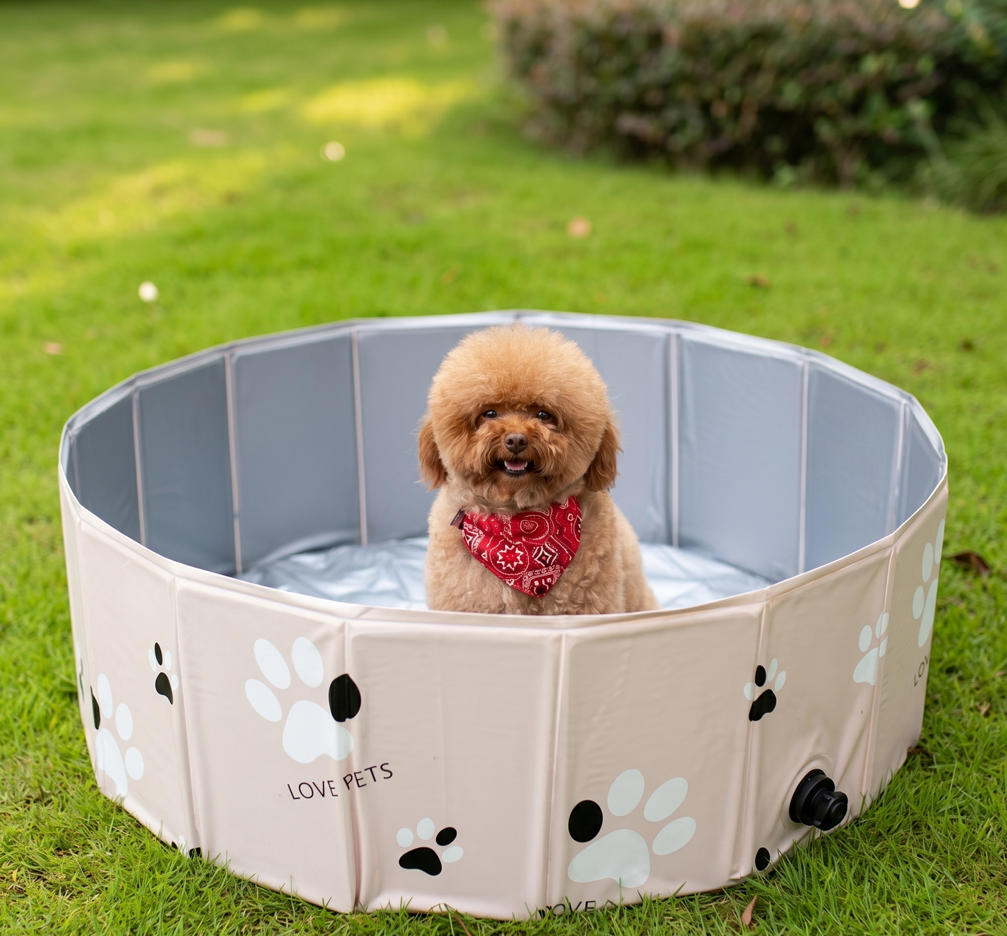 Hundpool & badbalja